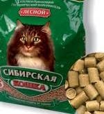 Сибирская кошка лесной 10лит