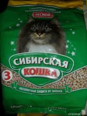 Сибирская кошка лесной3лит