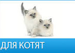 Ройал Канин для котят